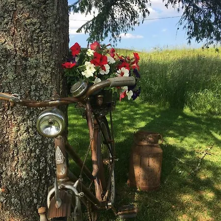 Elisabeth Eifel דירה Mosbruch