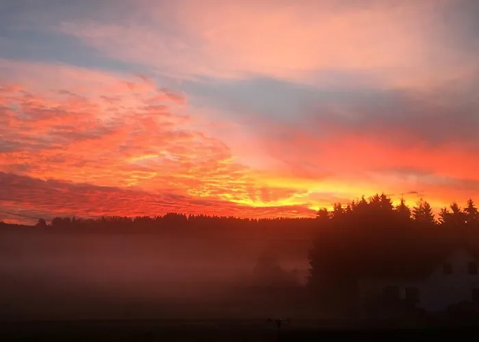 Apartment Elisabeth Eifel *